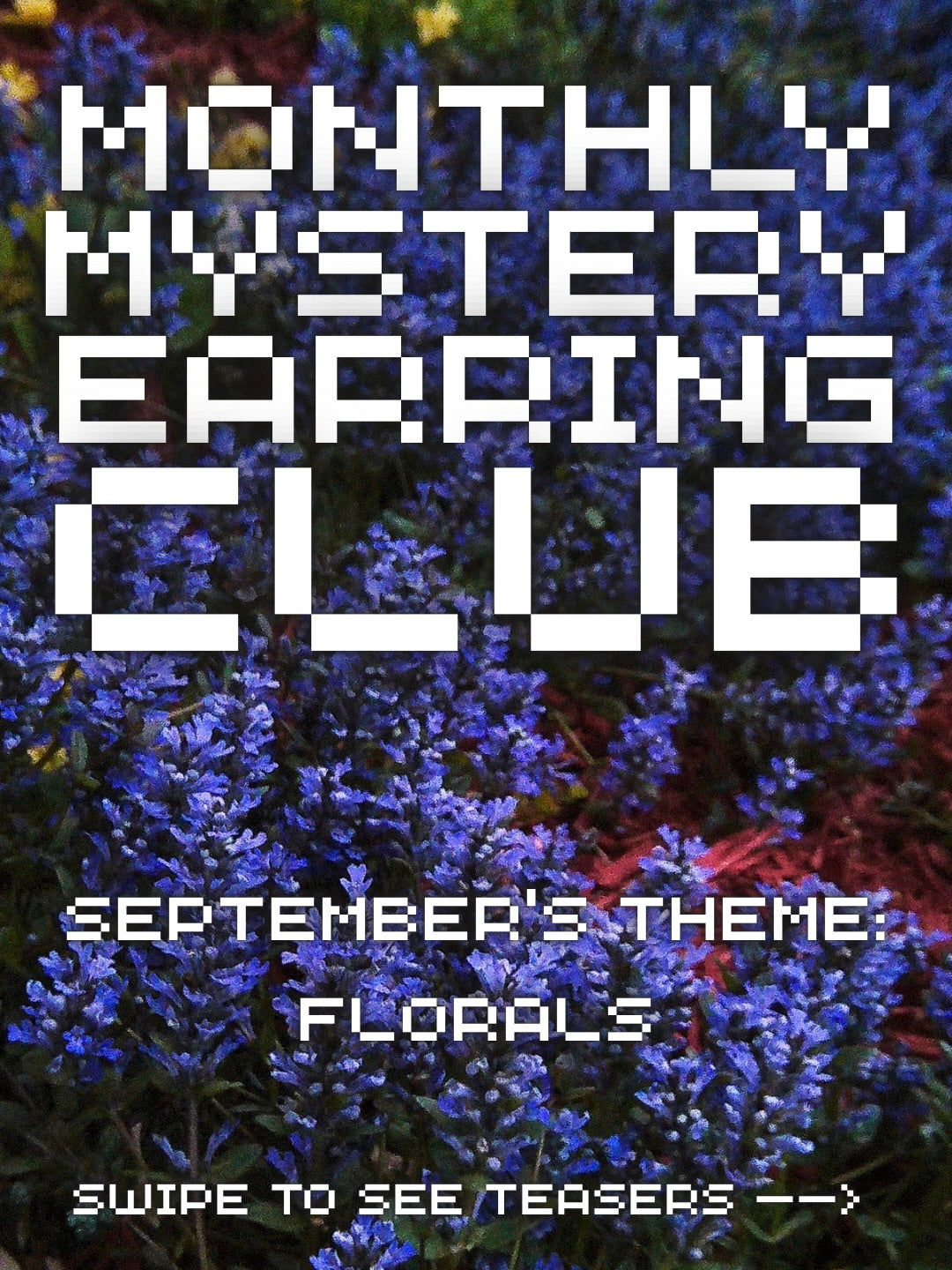 monthly mystery earring club <3